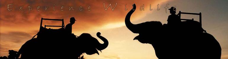 Welcome to Prestige Travels