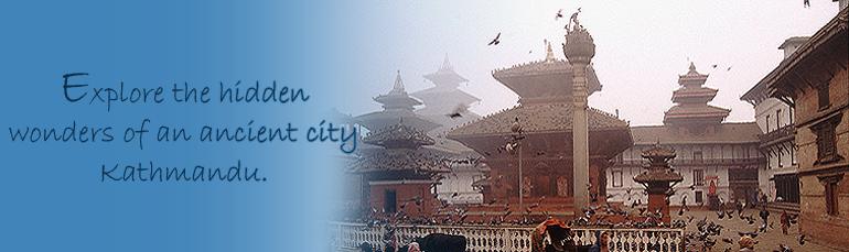 Welcome to Wonderland Travels